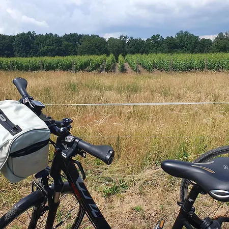 Alte Dorfschule Am Elberadweg شقة Axien
