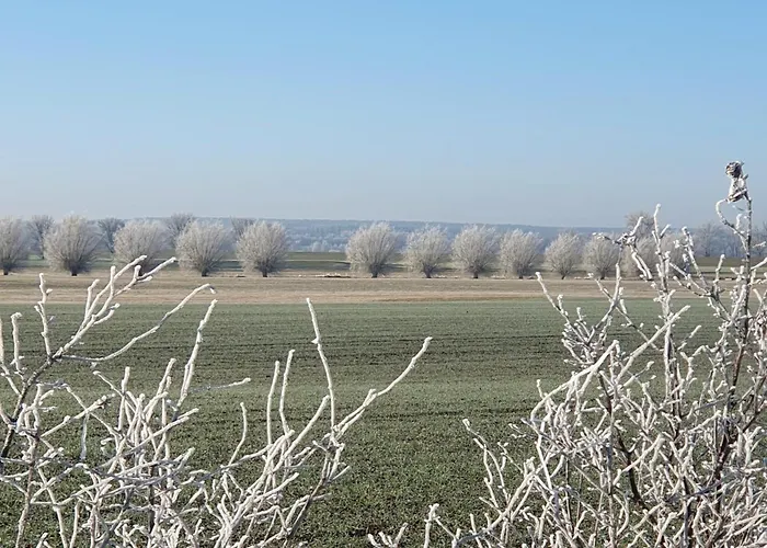 شقة Alte Dorfschule Am Elberadweg Axien