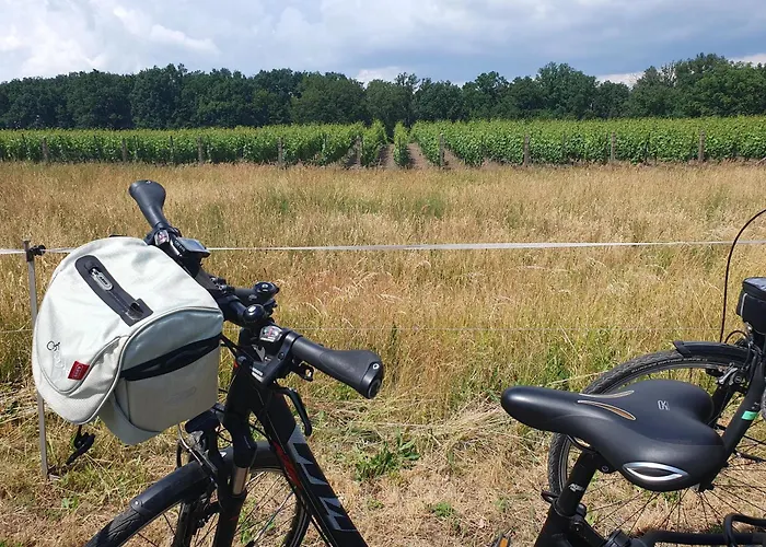 Alte Dorfschule Am Elberadweg شقة Axien